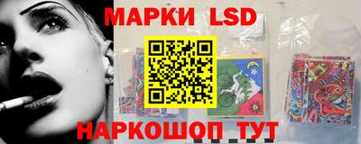 гидра Славгород