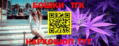гидра Славгород
