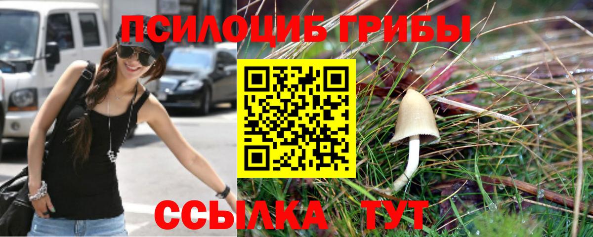 Галлюциногенные грибы GOLDEN TEACHER Баксан