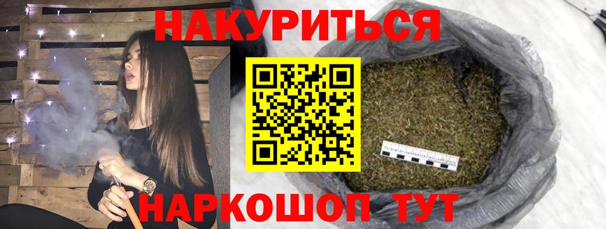 Каннабис планчик Баксан